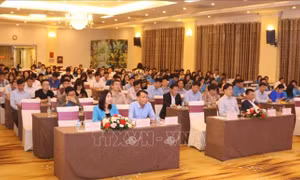 Nâng cao năng lực đội ngũ cán bộ Công đoàn khu vực phía Bắc