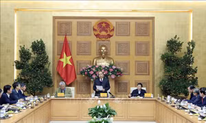 Bổ sung nhân sự Tổ Tư vấn kinh tế của Thủ tướng Chính phủ