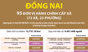 Thông tin chi tiết sắp xếp các đơn vị hành chính cấp xã của tỉnh Đồng Nai
