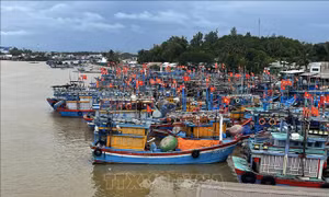 Các địa phương chủ động ứng phó với thiên tai, áp thấp nhiệt đới