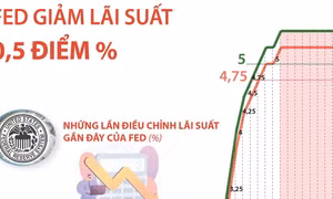 Fed giảm lãi suất lần đầu tiên sau hơn 4 năm