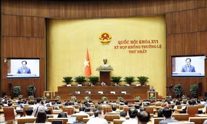 Bảo đảm hàng rào hậu kiểm lĩnh vực nông nghiệp, môi trường