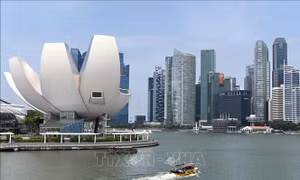 Singapore cảnh báo các công ty nhận trợ cấp AI nhưng đối xử bất công với người lao động