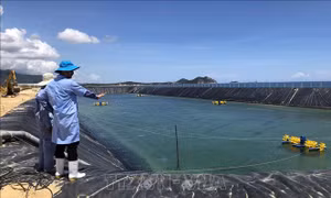 Khuyến cáo nông dân không nên thay đổi trình tự nuôi thủy sản nước lợ