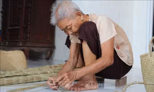 Giữ nghề đan bao đệm bàng ở Đức Huệ, Long An