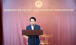 Brunei coi Việt Nam là đối tác đáng tin cậy trong ASEAN