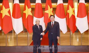Chủ tịch Quốc hội Vương Đình Huệ đón, hội đàm với Chủ tịch Thượng viện Nhật Bản