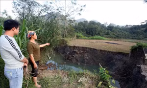 Bắc Kạn: Xuất hiện nhiều hố sụt lún 'nuốt chửng' ao cá, ruộng đất