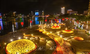 Người dân thành phố biển Đà Nẵng hân hoan chào đón giao thừa