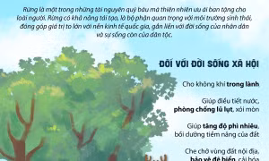 Ngày Quốc tế Rừng 21/3: Những giá trị quan trọng của rừng