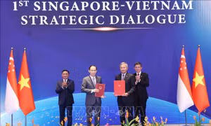 Tầm nhìn khoa học, công nghệ, đổi mới sáng tạo và đào tạo nhân lực Việt Nam - Singapore