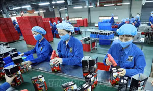 Việt Nam-Singapore còn nhiều cơ hội tăng trưởng xuất khẩu