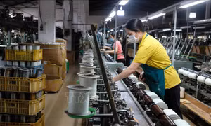 Đồng loạt điều tra doanh nghiệp năm 2025 trên cả nước