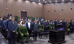 Vụ thông thầu tại Công ty AIC: Hành trình chuyển biến nhận thức