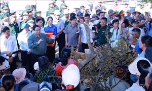 Thủ tướng Chính phủ yêu cầu tập trung khôi phục sản xuất kinh doanh, ổn định đời sống nhân dân sau bão lũ​