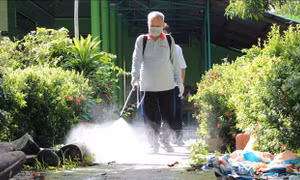 Lưu ý người dân đảm bảo an toàn dịch bệnh khi tái đàn lợn