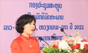 Nhiều hoạt động ý nghĩa trong Năm Đoàn kết hữu nghị 2022 tại Lào và Việt Nam