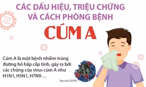 Các dấu hiệu, triệu chứng và cách phòng bệnh cúm A