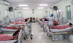 Đơn vị chạy thận đầu tiên của Cần Giờ sẽ hoạt động vào đầu tháng 10