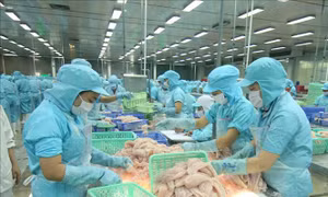 Xuất khẩu nông, lâm, thủy sản có khả năng vượt 47 tỷ USD