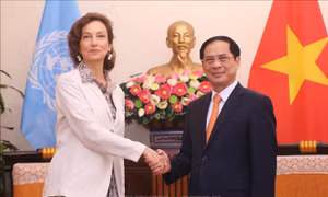 Bộ trưởng Bộ Ngoại giao Bùi Thanh Sơn tiếp Tổng Giám đốc UNESCO 