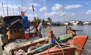 Gỡ khó cho ngư dân trước biến động giá nhiên liệu