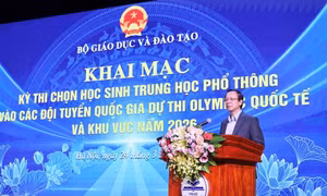 194 học sinh Trung học Phổ thông dự thi Olympic quốc tế và khu vực năm 2026
