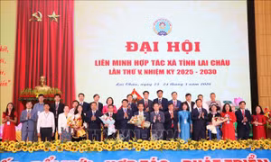 Lai Châu xây dựng 5 hợp tác xã điển hình kiểu mẫu theo tiêu chí toàn quốc