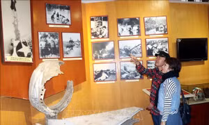 Độc đáo chợ Tết 'Một thoáng thành Nam'