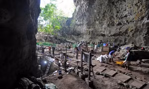Lần đầu tiên tìm thấy bằng chứng về tông người tiền sử cách đây 50.000 năm 