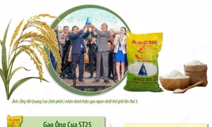 Gạo Ông Cua ST25 lần thứ 3 được vinh danh 'Gạo ngon nhất thế giới' năm 2025