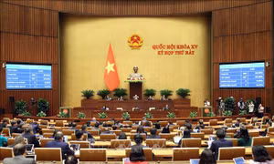 Quyết sách kịp thời - động lực thúc đẩy phát triển kinh tế - xã hội