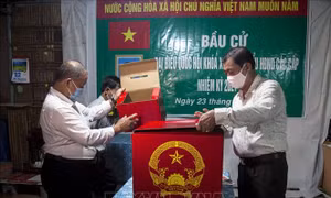 Kiên Giang: Không khí bầu cử vui tươi, dân chủ, đúng luật