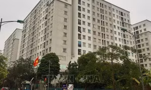 Người cho thuê nhà không kê khai, nộp thuế sẽ bị xử nghiêm