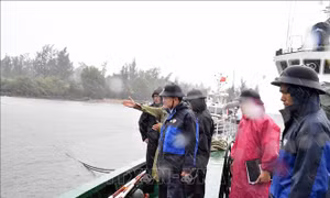 Bộ Tư lệnh Vùng Cảnh sát biển 2 chủ động ứng phó cơn bão số 10