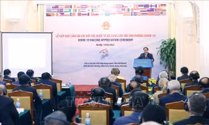 Thủ tướng gặp mặt các đối tác quốc tế đã hỗ trợ Việt Nam phòng, chống dịch COVID-19
