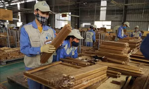 Tạo dòng vốn đón cơ hội phục hồi