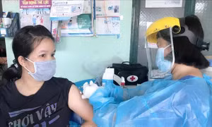 Bình Dương vận hành phần mềm quản lý di biến động của người dân và thông tin chứng nhận tiêm chủng