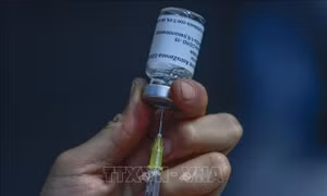 Vaccine ngừa COVID-19 giúp giảm nguy cơ mắc bệnh nặng và sinh non ở thai phụ