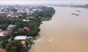 Mực nước sông Đồng Nai, La Ngà lên mức báo động II, cảnh báo ngập lụt vùng trũng thấp