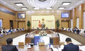 Làm rõ những 'lỗ hổng' trong quản lý an toàn vệ sinh thực phẩm