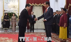 Tổng thống Indonesia mong muốn tăng cường hợp tác, phối hợp toàn diện với Việt Nam 