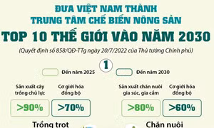 Đưa Việt Nam thành trung tâm chế biến nông sản top 10 thế giới vào năm 2030 - Phần 1