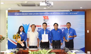Tháng Thanh niên 2020: Tuyên dương 9 tập thể đoạt Giải thưởng Hồ Hảo Hớn