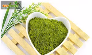 Tinh chất quý từ trà xanh hữu ích với bệnh nhân tiểu đường