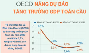 OECD nâng dự báo tăng trưởng GDP toàn cầu