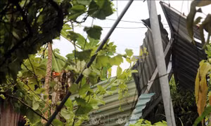 Vòi rồng xuất hiện ở Hưng Yên, không gây thiệt hại về người