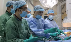 Việt Nam làm chủ kỹ thuật thay van động mạch qua da