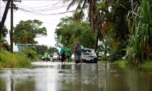 Bão Saga tàn phá nghiêm trọng quốc đảo Fiji 