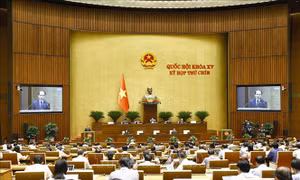 Tuần làm việc thứ 3, Kỳ họp thứ 9, Quốc hội khóa XV
